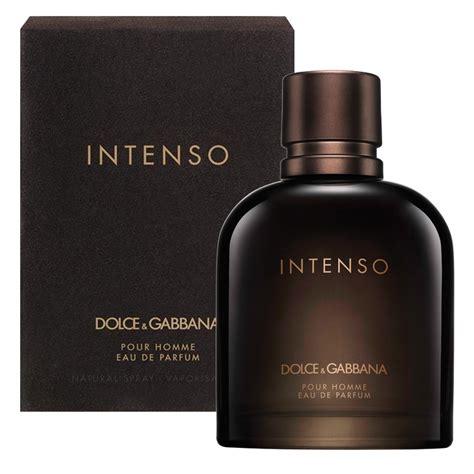 dolce gabbana parfum herren intenso|dolce and gabbana intenso notes.